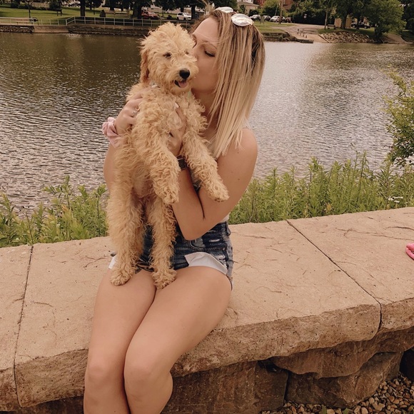 Meet your Posher, Bailee - Picture 2 of 4